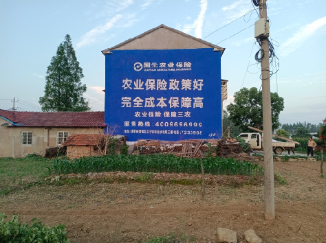 三江墙体广告为何受追捧?